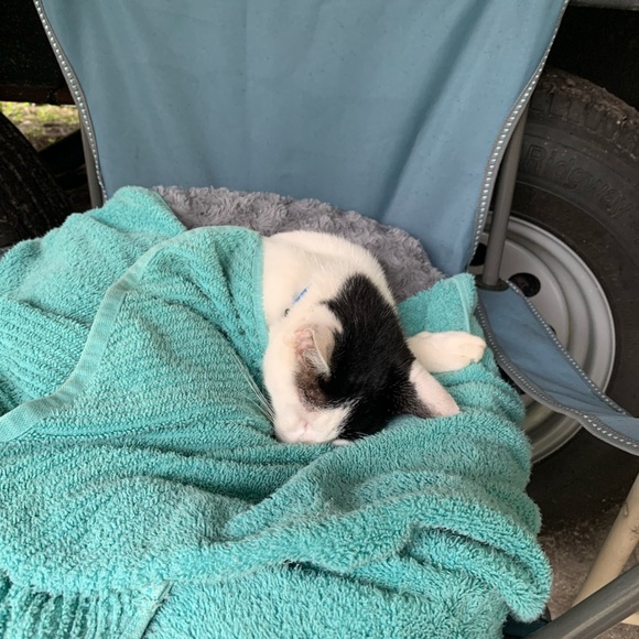 Meet your Posher, Cameron - Picture 8 of 16